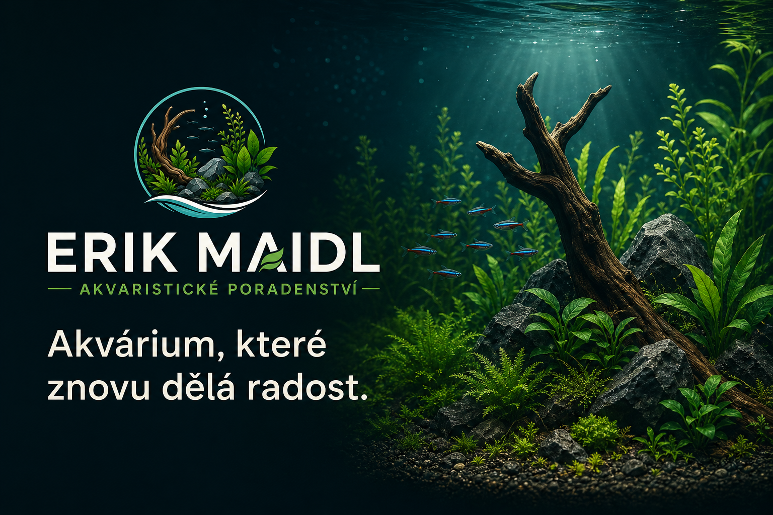 OG náhled